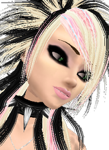 Guest_horserider1012