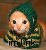 Guest_Link436
