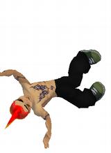 Guest_wackojacko159
