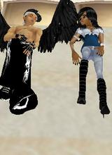 Guest_NYCap