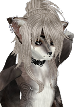 xZairikx