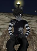 Guest_DarkStarWolf993