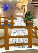 Guest_SkyEmily