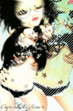 Guest_bettafish20