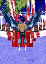 Guest_cotyr3