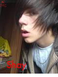 Guest_ShayC123