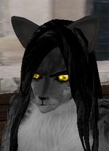 Guest_Bvodaark