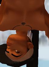 Guest_jdraw