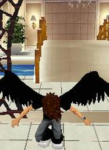 Guest_birdman775