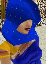 Guest_ForbiddenHermit