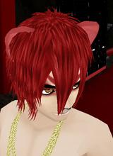Guest_Xxkevinjv1786xX