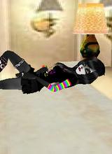 avatar picture