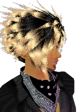 avatar image