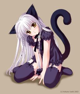Guest_ChibaAkane
