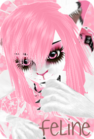 Feline