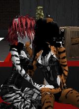Guest_SetsunaiPande