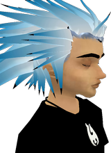 Guest_mistersummerrain