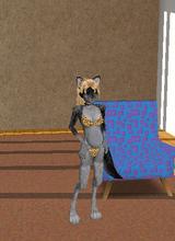 avatar image