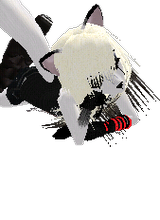 Guest_XxXFallenAngel71XxX