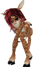Guest_waletantovale