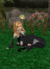 Guest_LunaSilverwing
