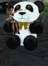 avatar image