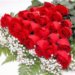Guest_cindy1465