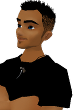 Guest_nesvan11
