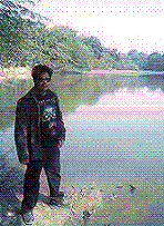 Guest_AllanRD
