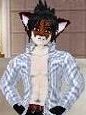 Ayanfox