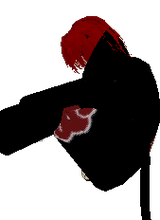 Sasori987