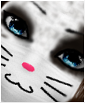 Guest_iOreos