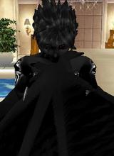 Guest_Seshow13