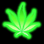 Guest_fredcarter