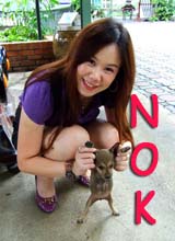 nokping