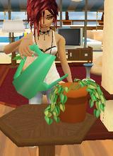 Guest_daarlalane