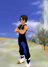 Guest_Trunks500
