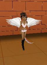 Guest_ceceliasanti