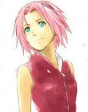 Guest_SakuraHarunoUU
