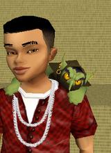 Guest_MacMan413