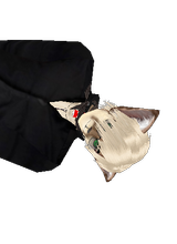 Ienari