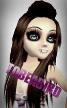 Guest_ToBeABird