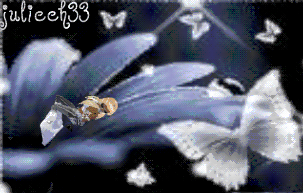 Guest_Julieeh33