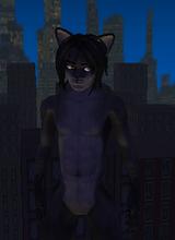 Guest_LycanOfTheNight