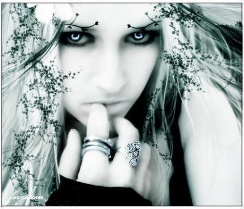 Guest_lovefindsu18