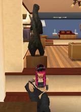 Guest_fantas989