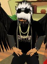 Guest_gogoo8008s