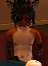 Guest_AnimeFurryBoy243