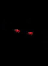 Guest_xFatherSatanx