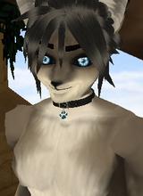 IronPawes
